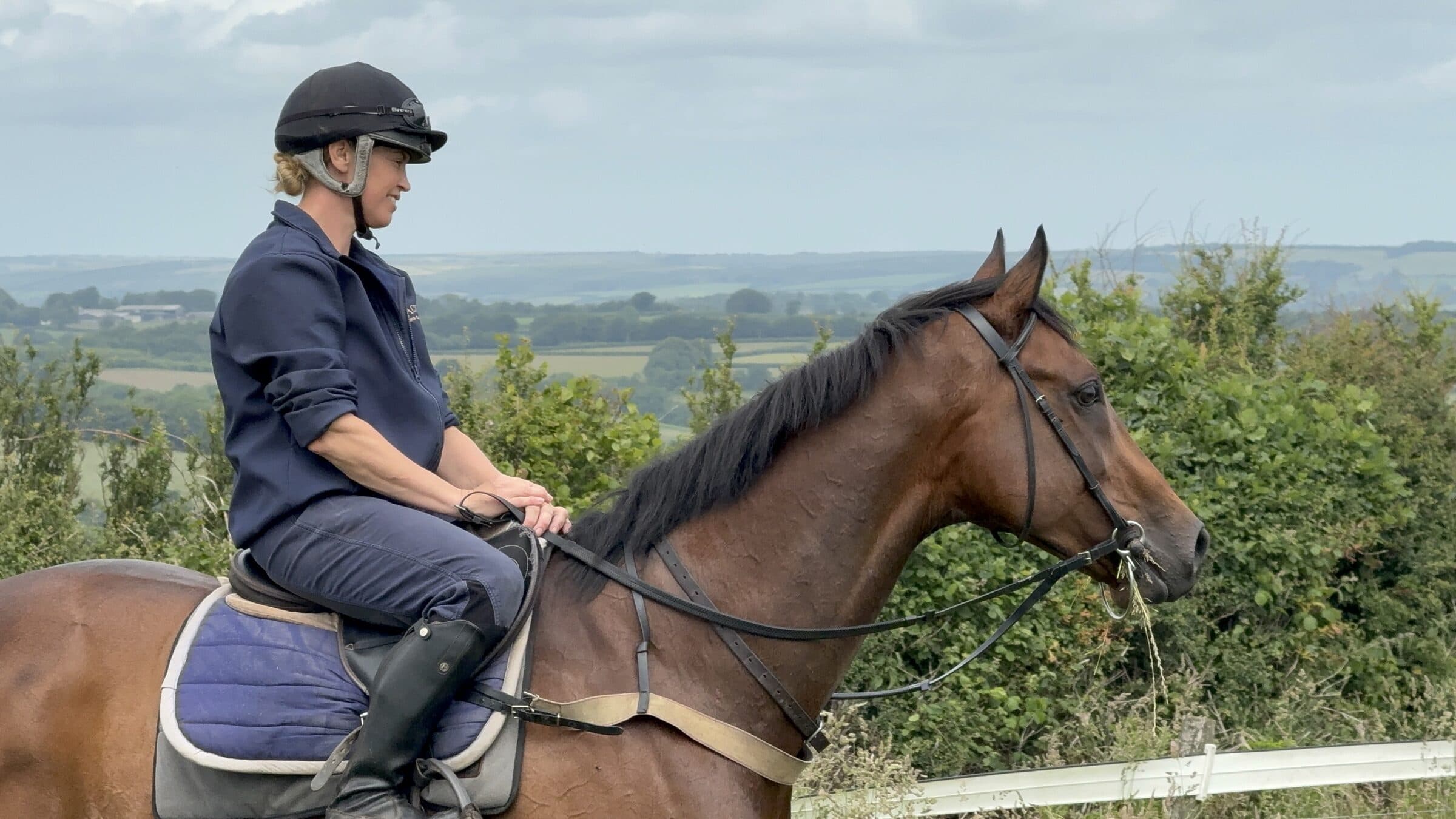 A Joe Tickle Racing horse and rider on the downs above Lower Ford
