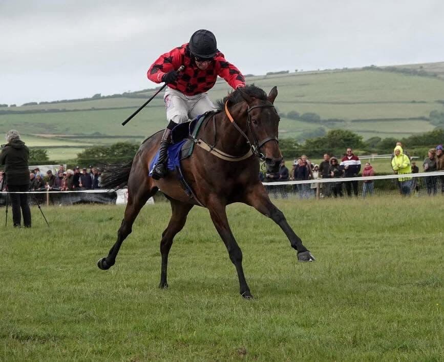 A Joe Tickle Racing runner at a point-to-point